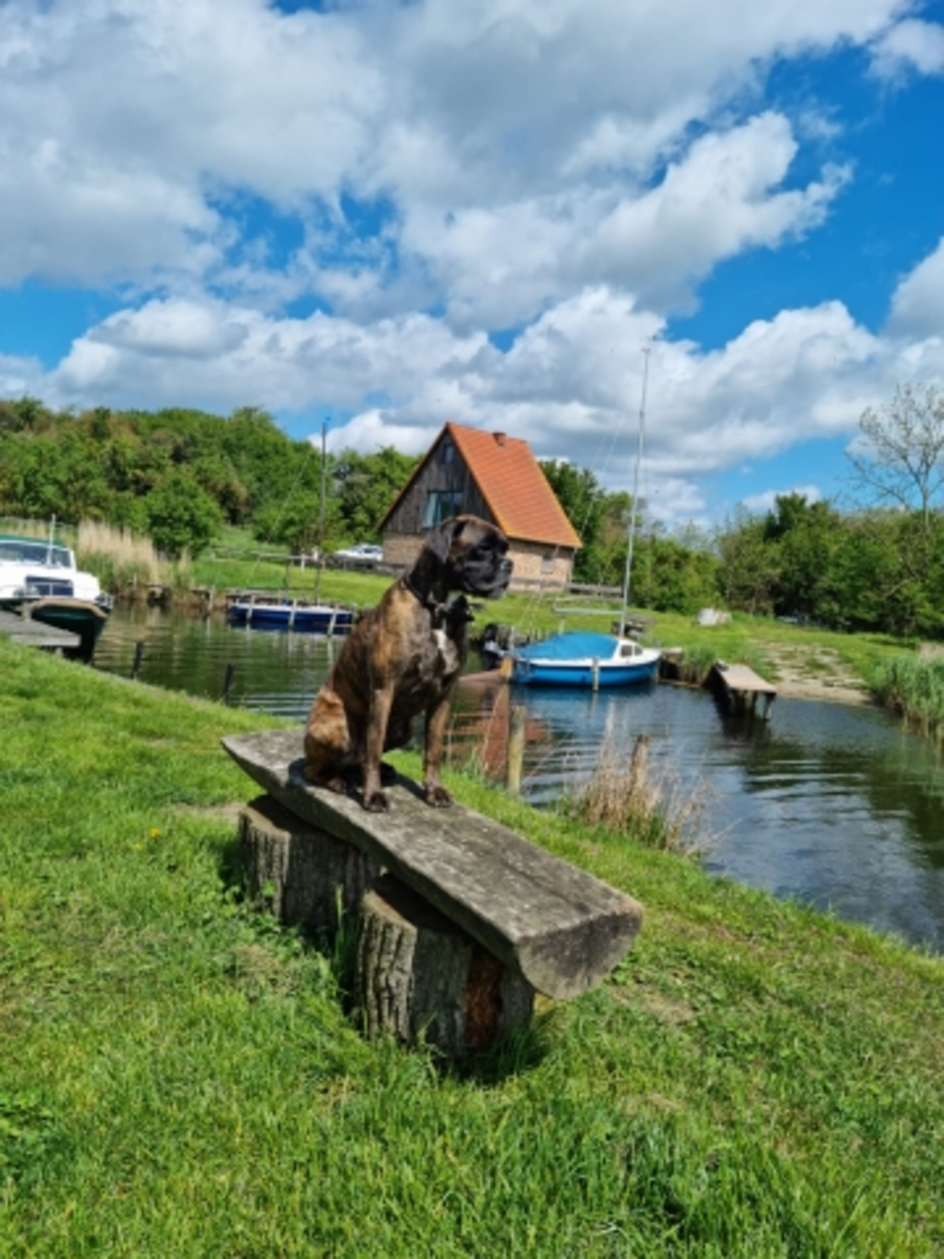 Bild 15