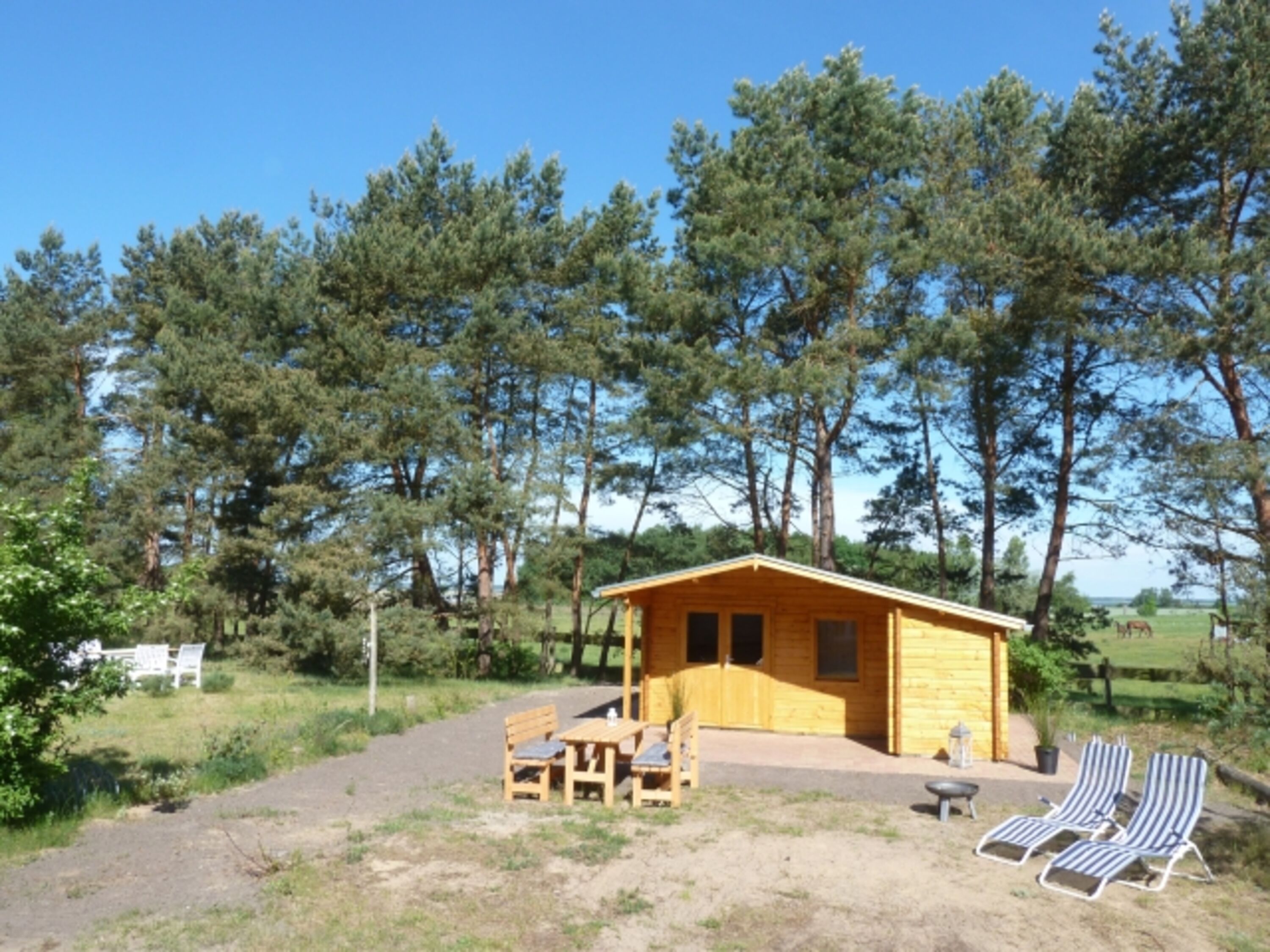 Bild 21