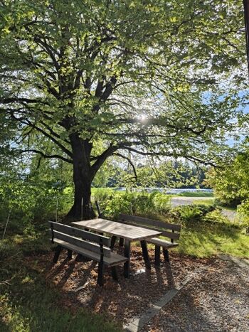 Viele Sitzmöglichkeiten laden zu einem Picknick ein