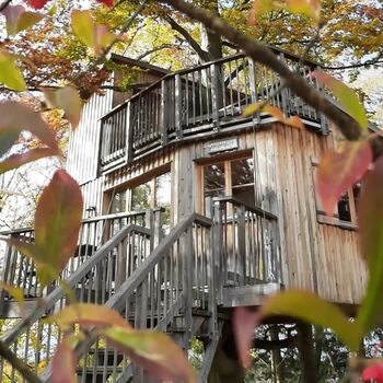 Eintauchen in die Natur