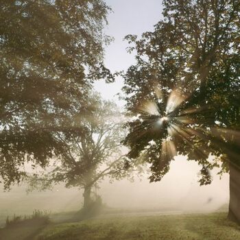 Unser Hof ist weitläufig angelegt 