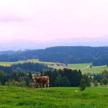 Das Allgäu entdecken