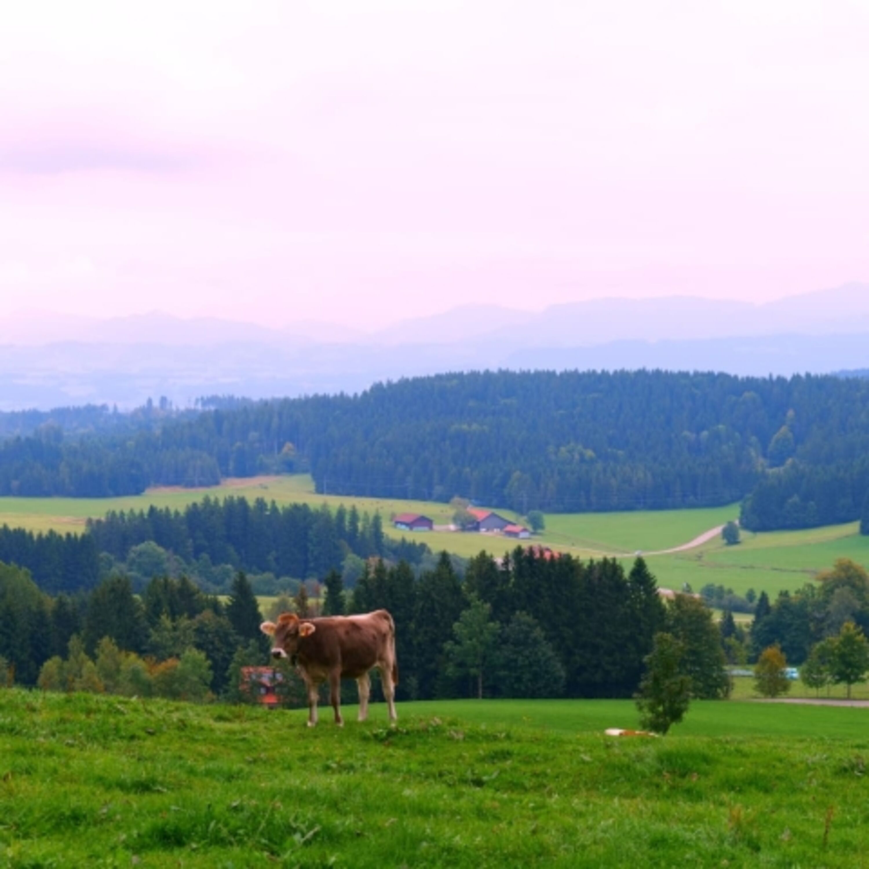 Das Allgäu entdecken