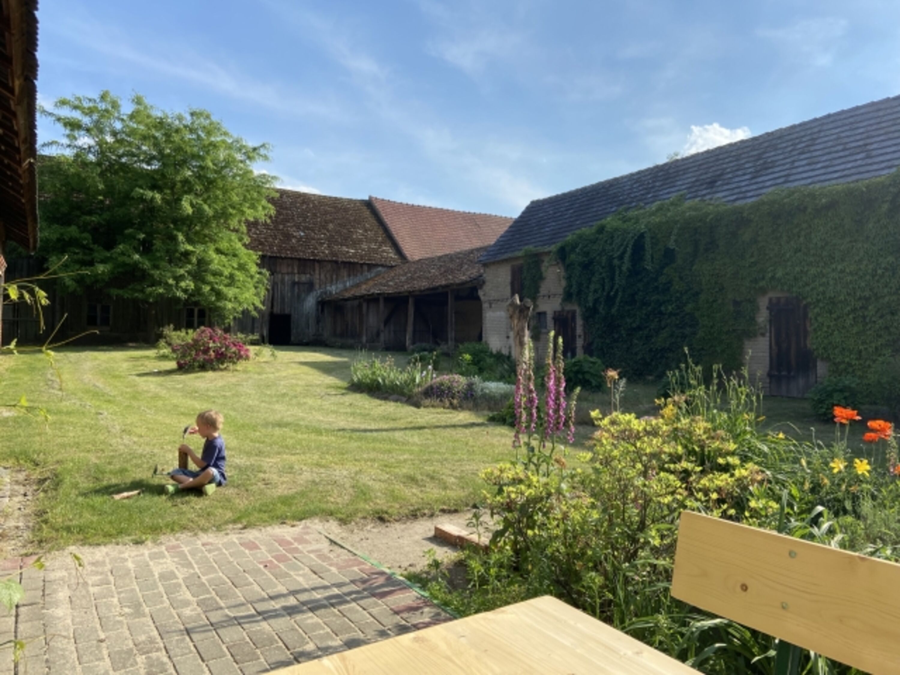 Bild 19