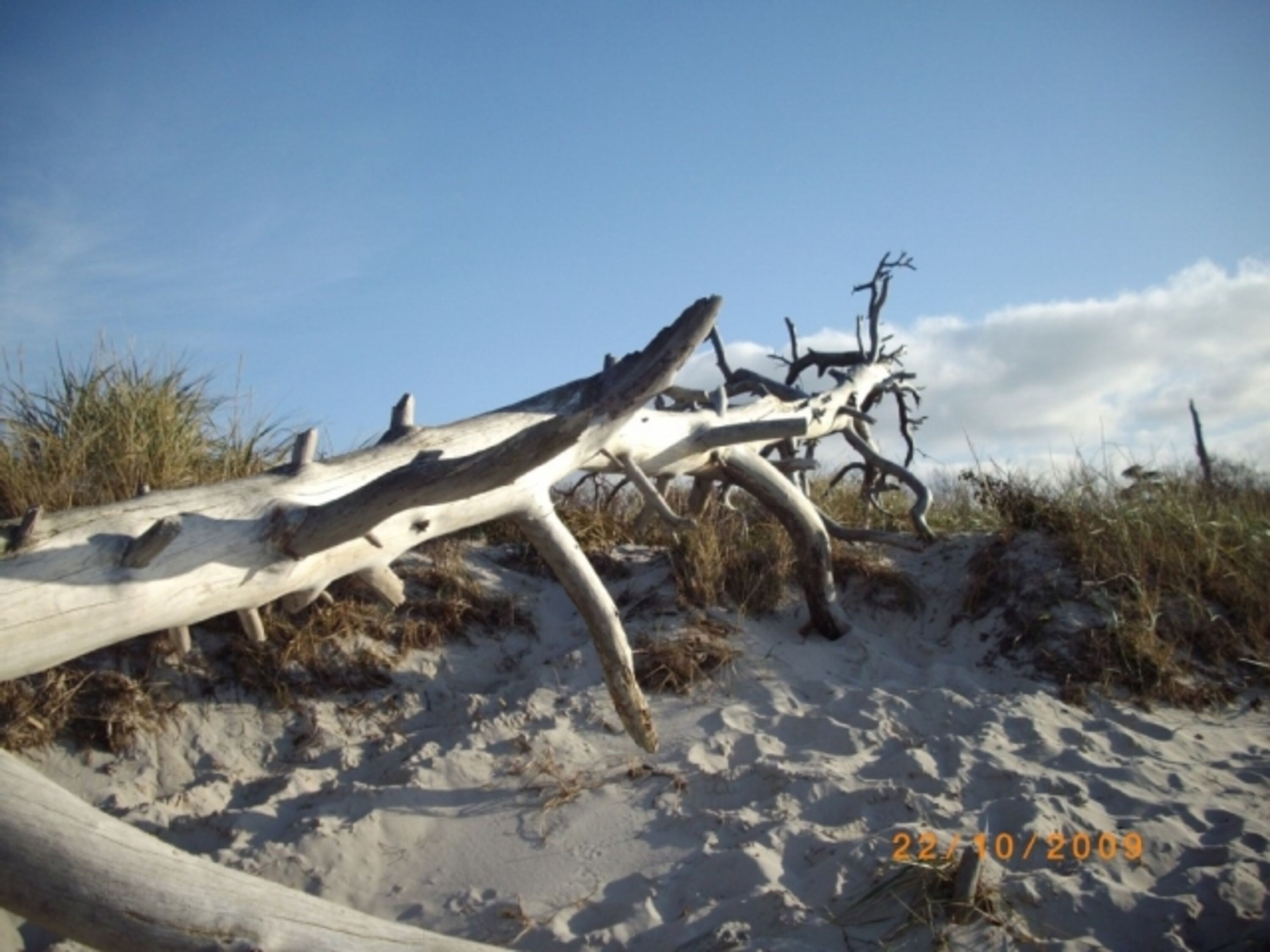 Weststrand