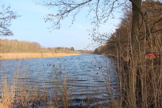 "Alter Strom" zwischen Deich und Strand