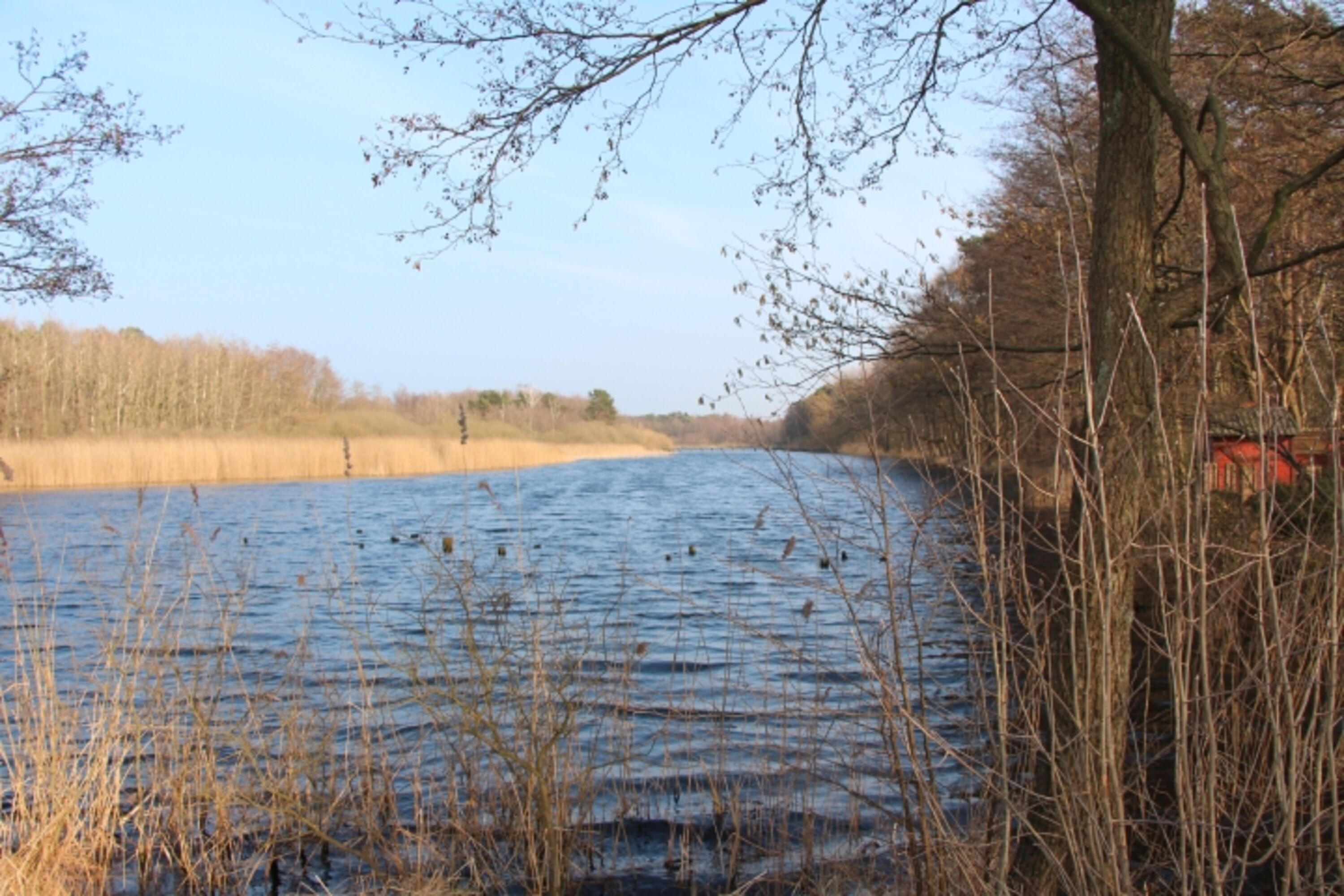 "Alter Strom" zwischen Deich und Strand