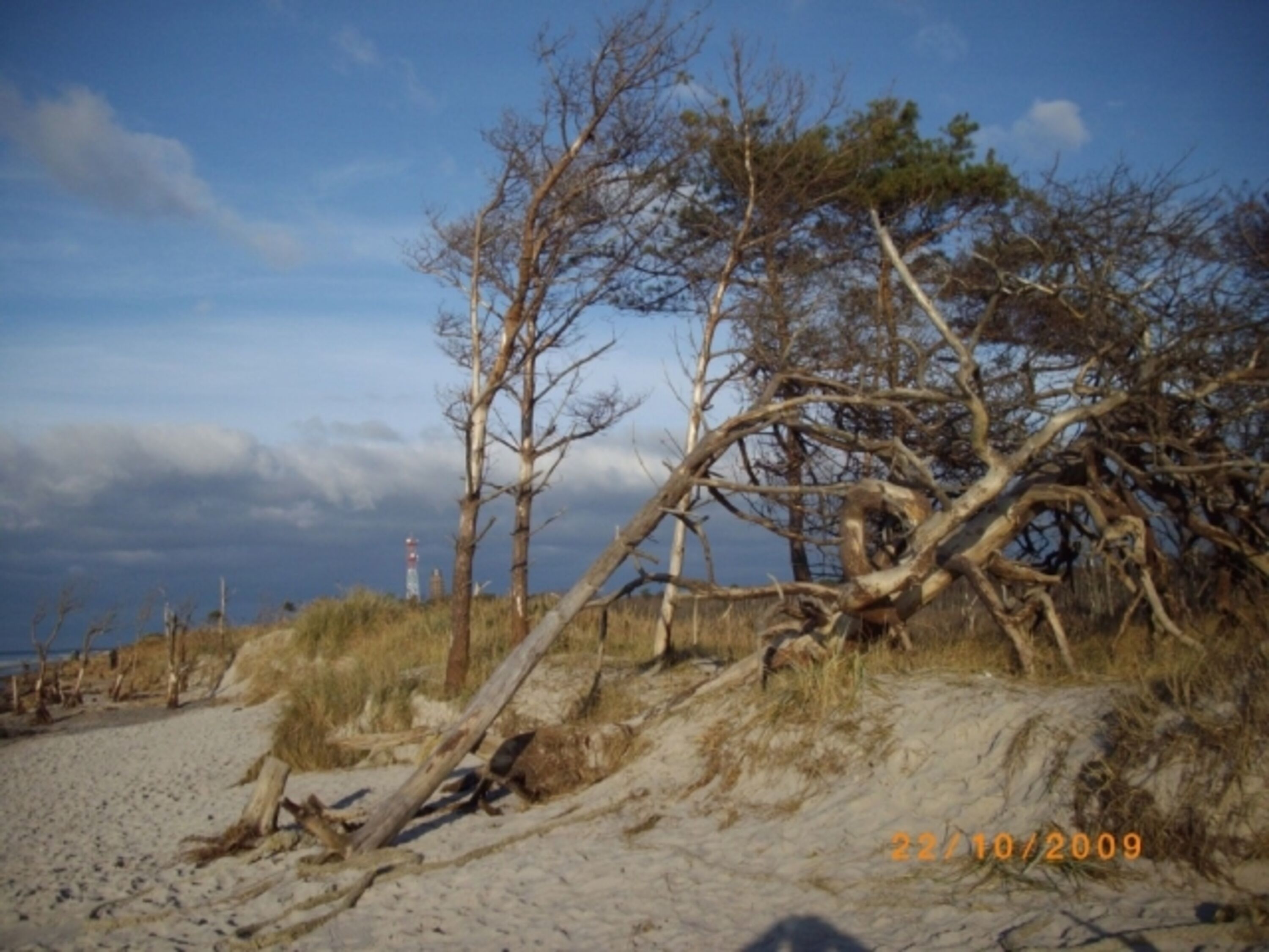 Weststrand