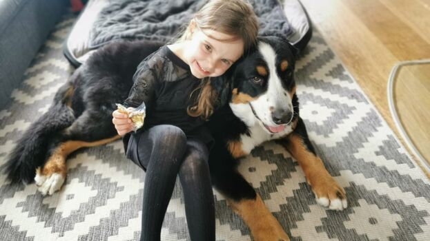 Hunde Wohlfühlumgebung.