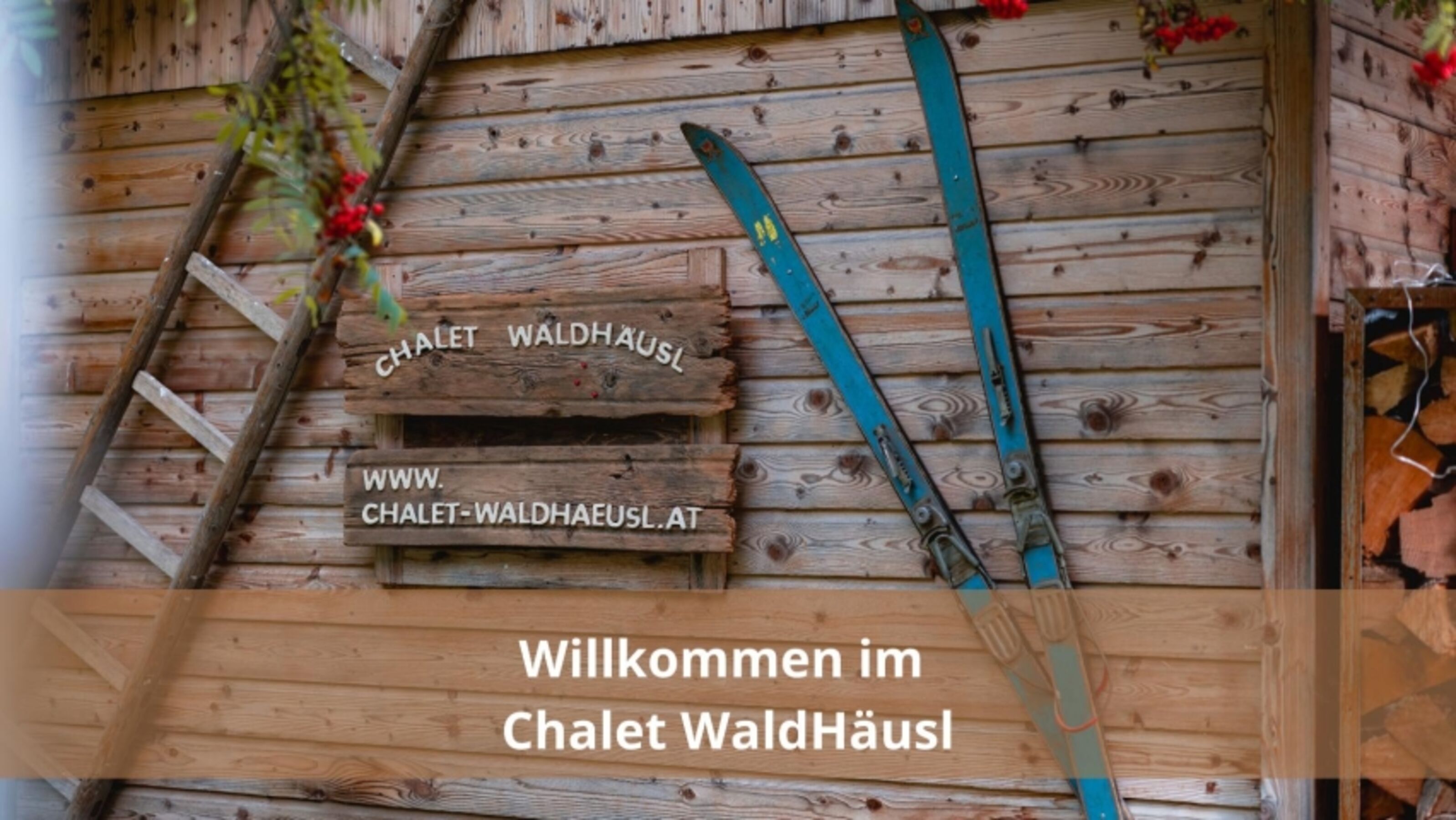 Bild 22