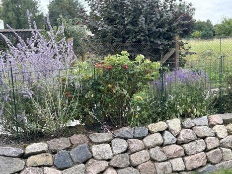 Endlich  komplett eingezäunt...........