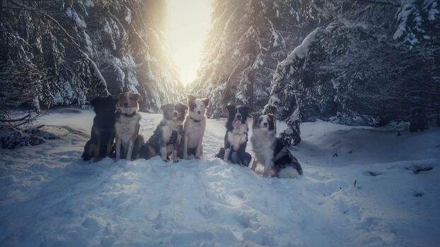 Winterspaß im Schnee