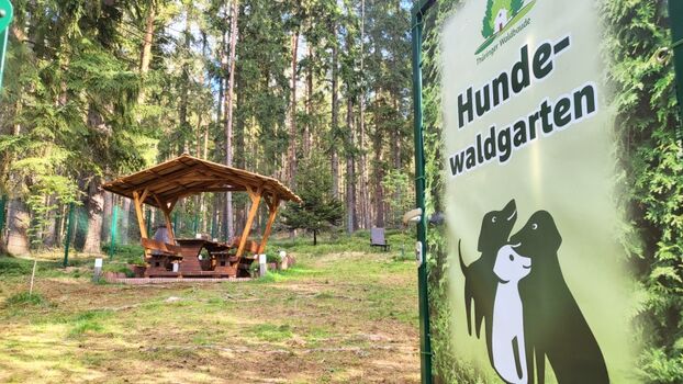 eingezäunter Hundewaldgarten