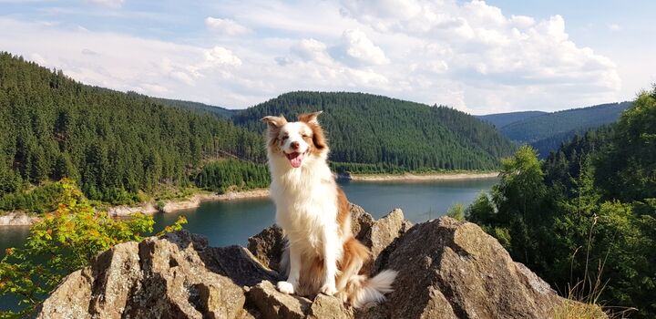 Talsperre Schmalwasser 