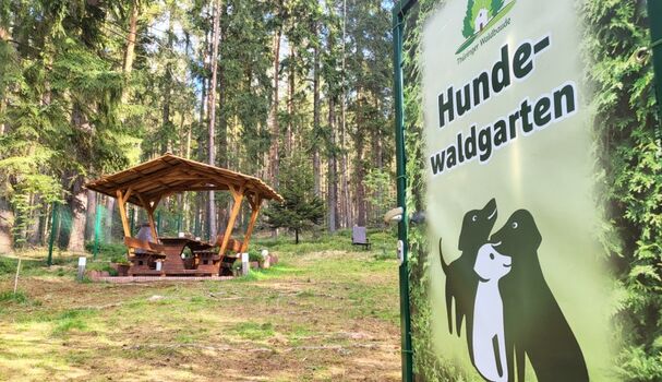 Hundewaldgarten mit 1,60m hohem Zaun