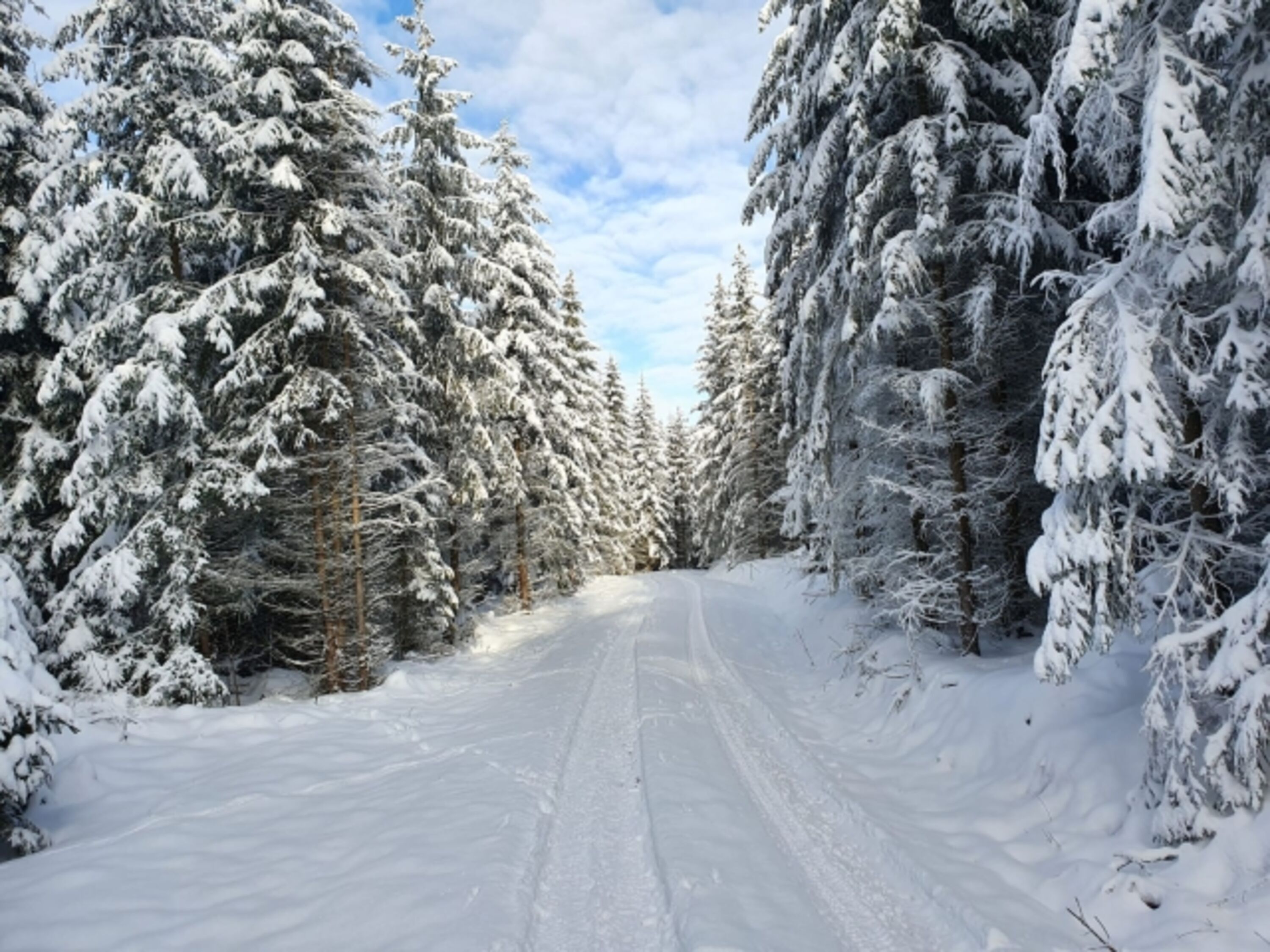 Wintereindruck