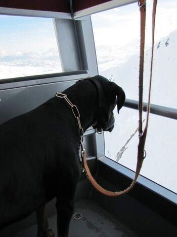 Mit der Seilbahn auf den Krippenstein