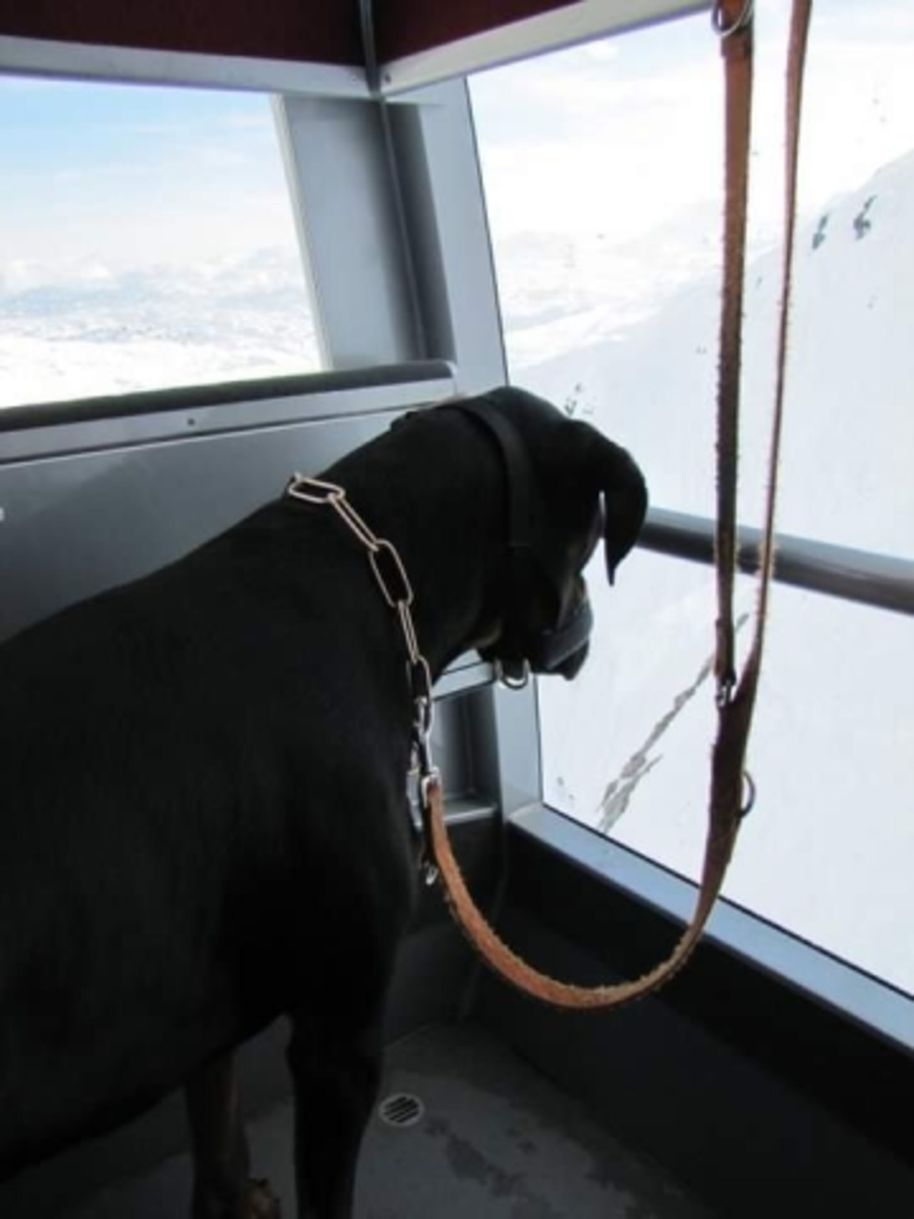 Mit der Seilbahn auf den Krippenstein