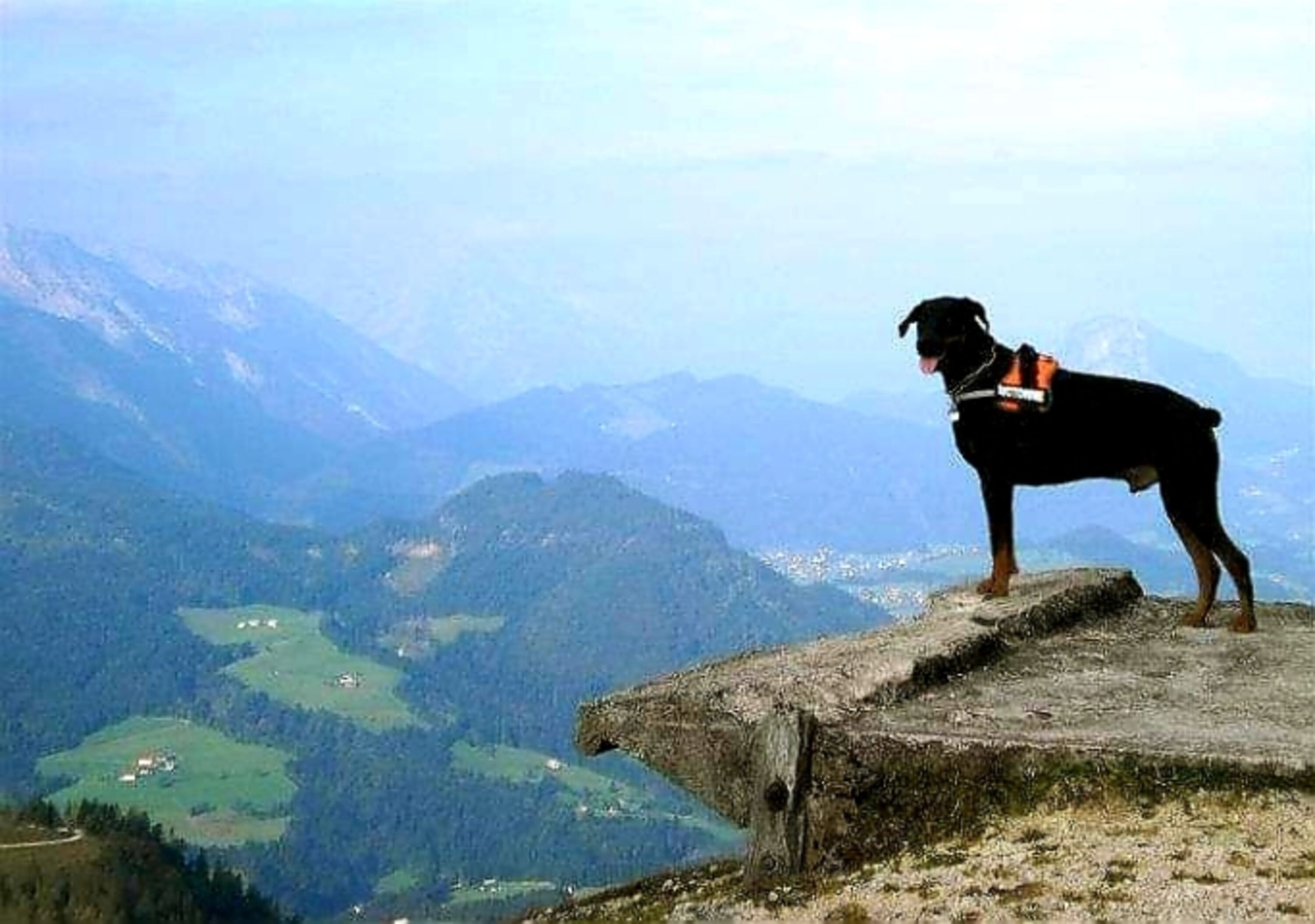 Auf der Zwieselalm
