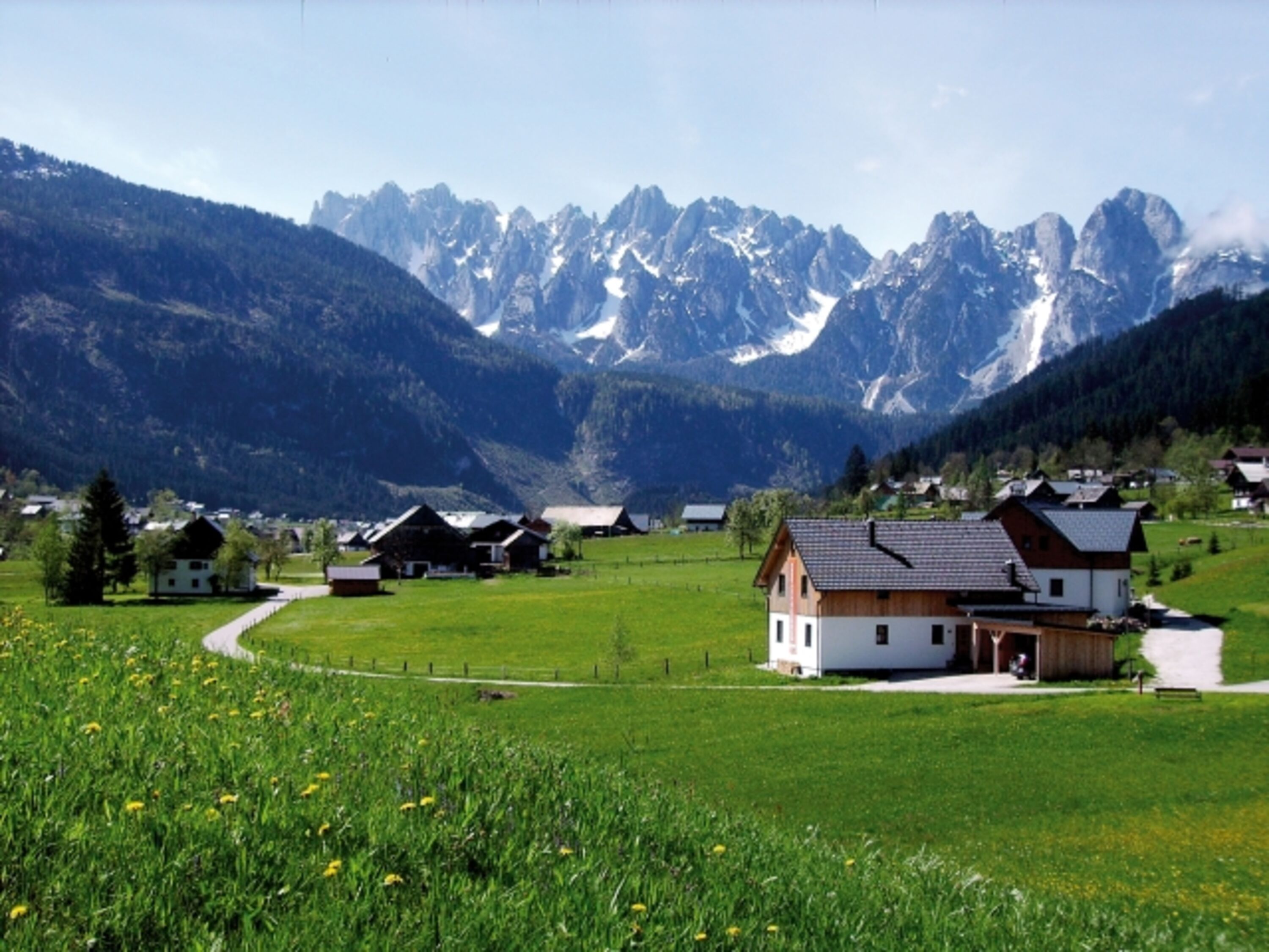 Unser Haus vor dem Gosaukamm