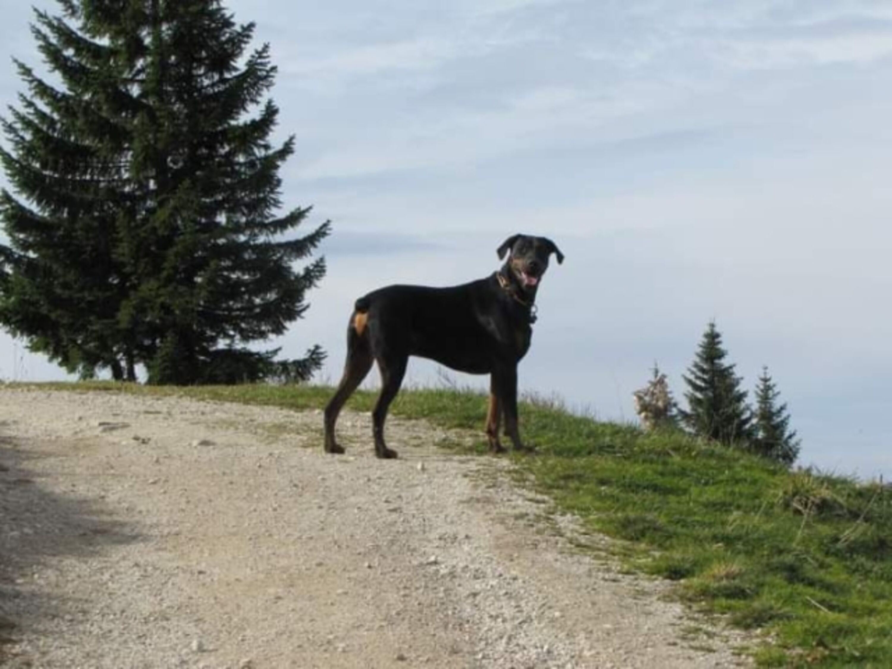 Bild 14