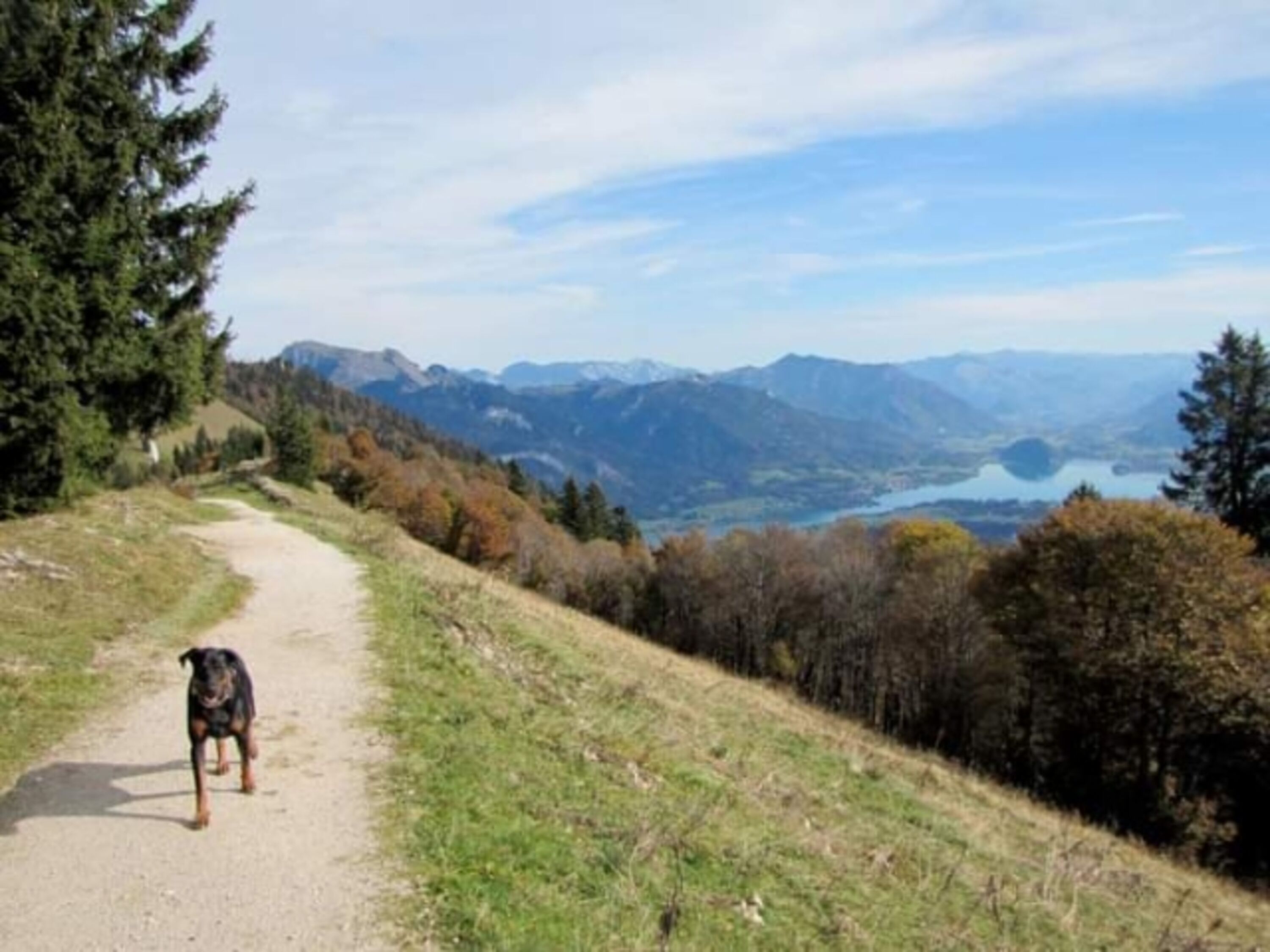 Bild 28