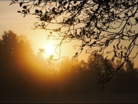 Sonne erwacht im Bellevue