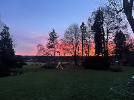 Sonnenuntergang im Bellevue 