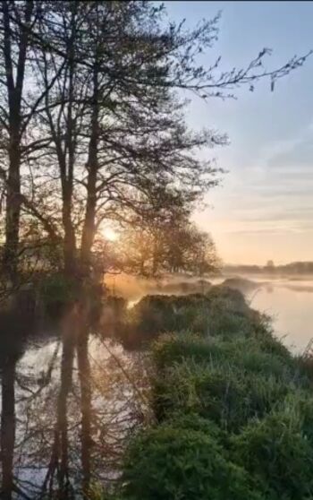 Badestelle für Hunde am Fluss Regen hinter dem Grundstück