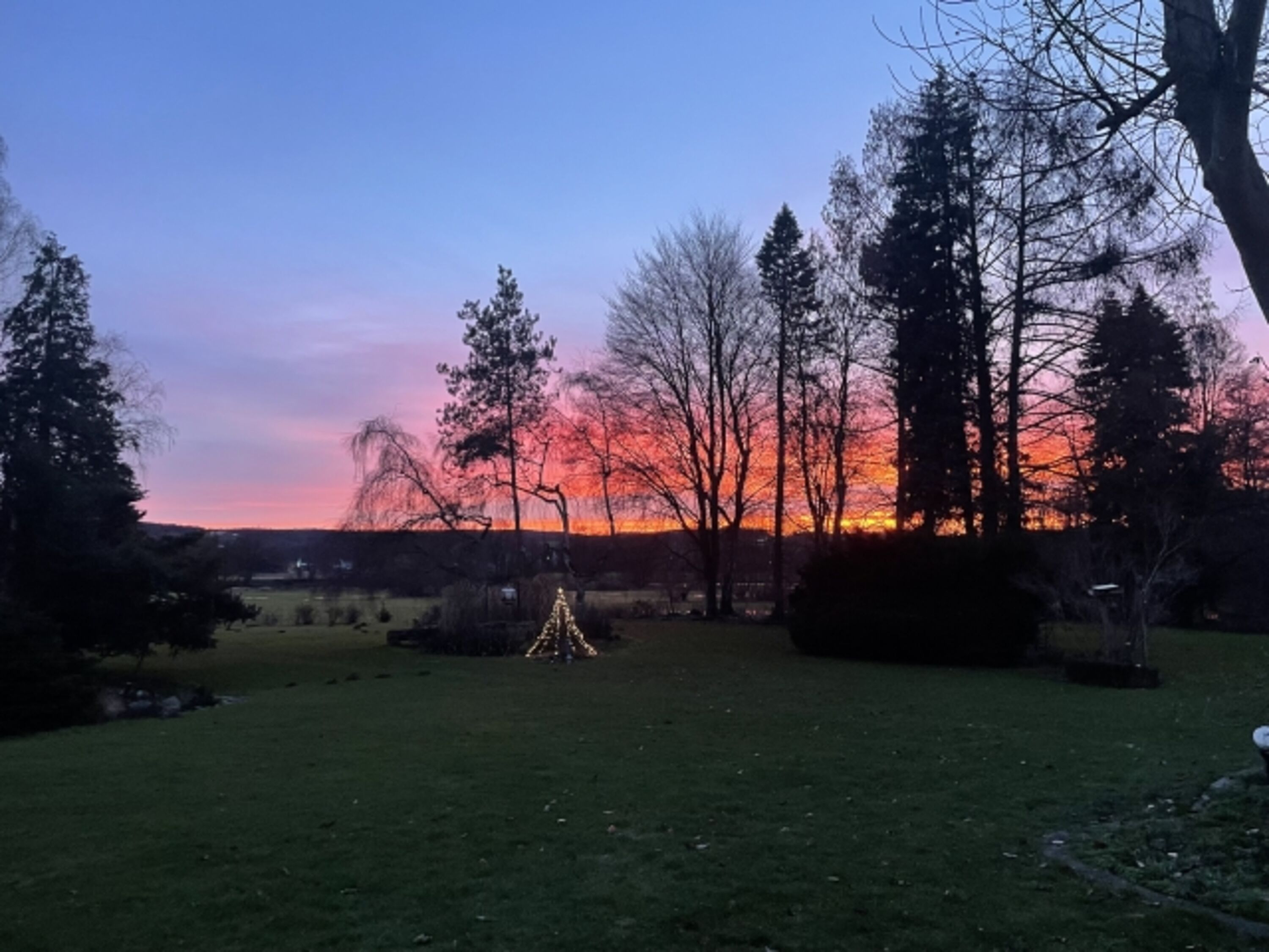 Sonnenuntergang im Bellevue 