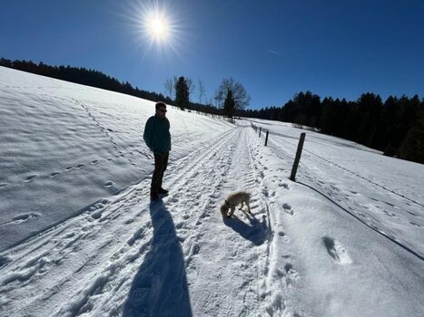 Winterspaziergang mit Hund