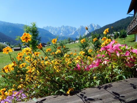 Ausblick von der Terrasse