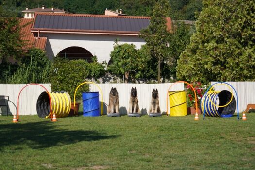 Viel Platz zum Trainieren