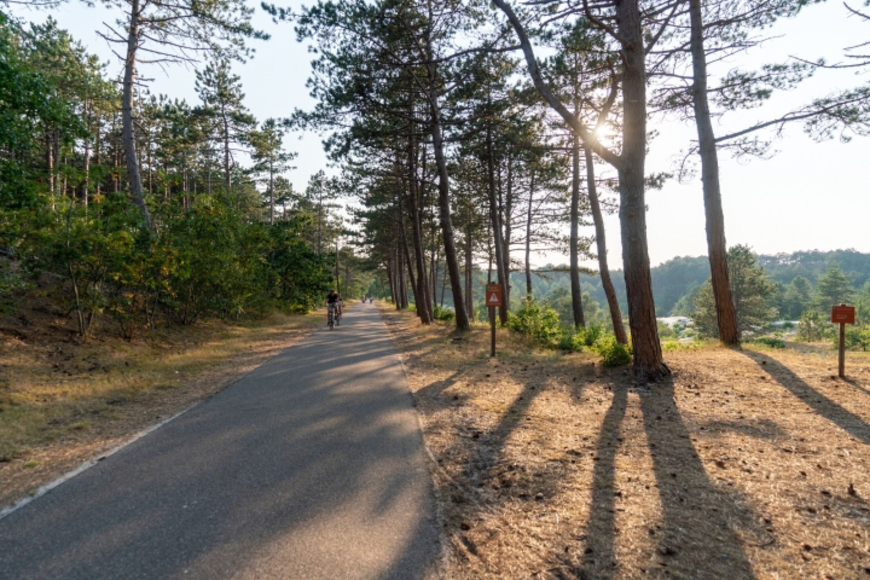 Radfahren in Schoorler Dünen