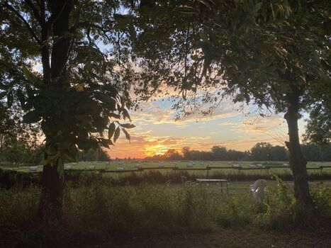 Ausblicke zum Deich mit schönen Sonnenuntergängen