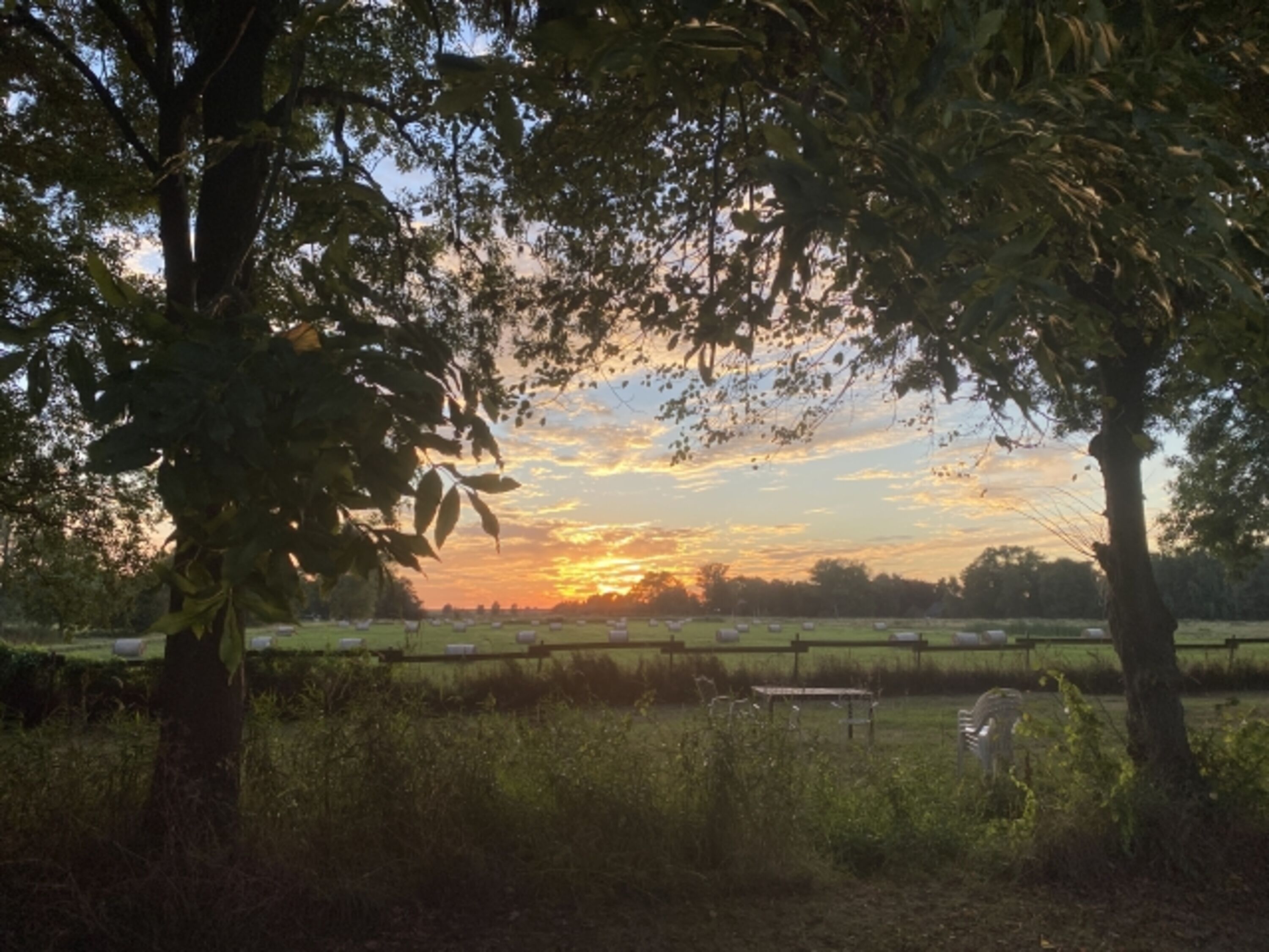 Ausblicke zum Deich mit schönen Sonnenuntergängen