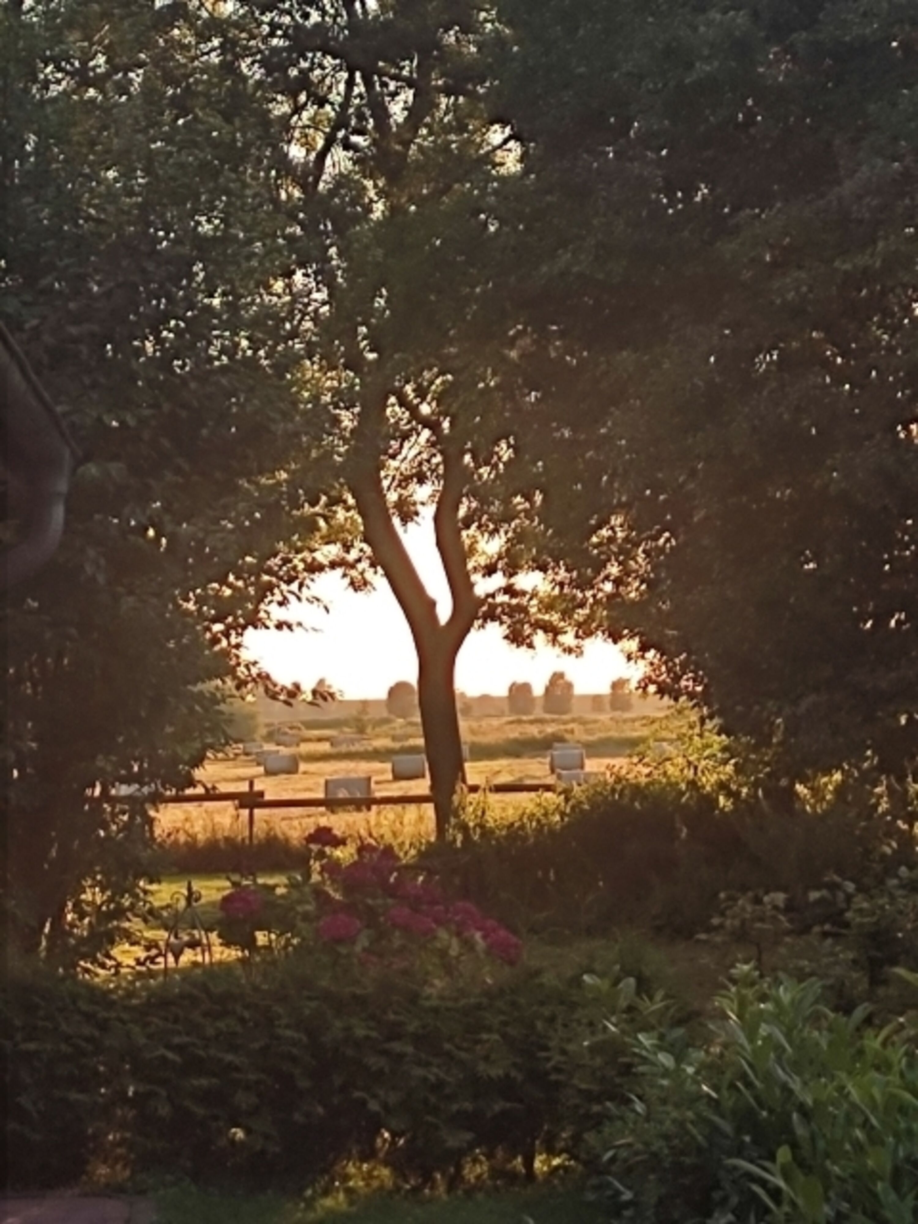 Ausblicke aus dem großen Garten