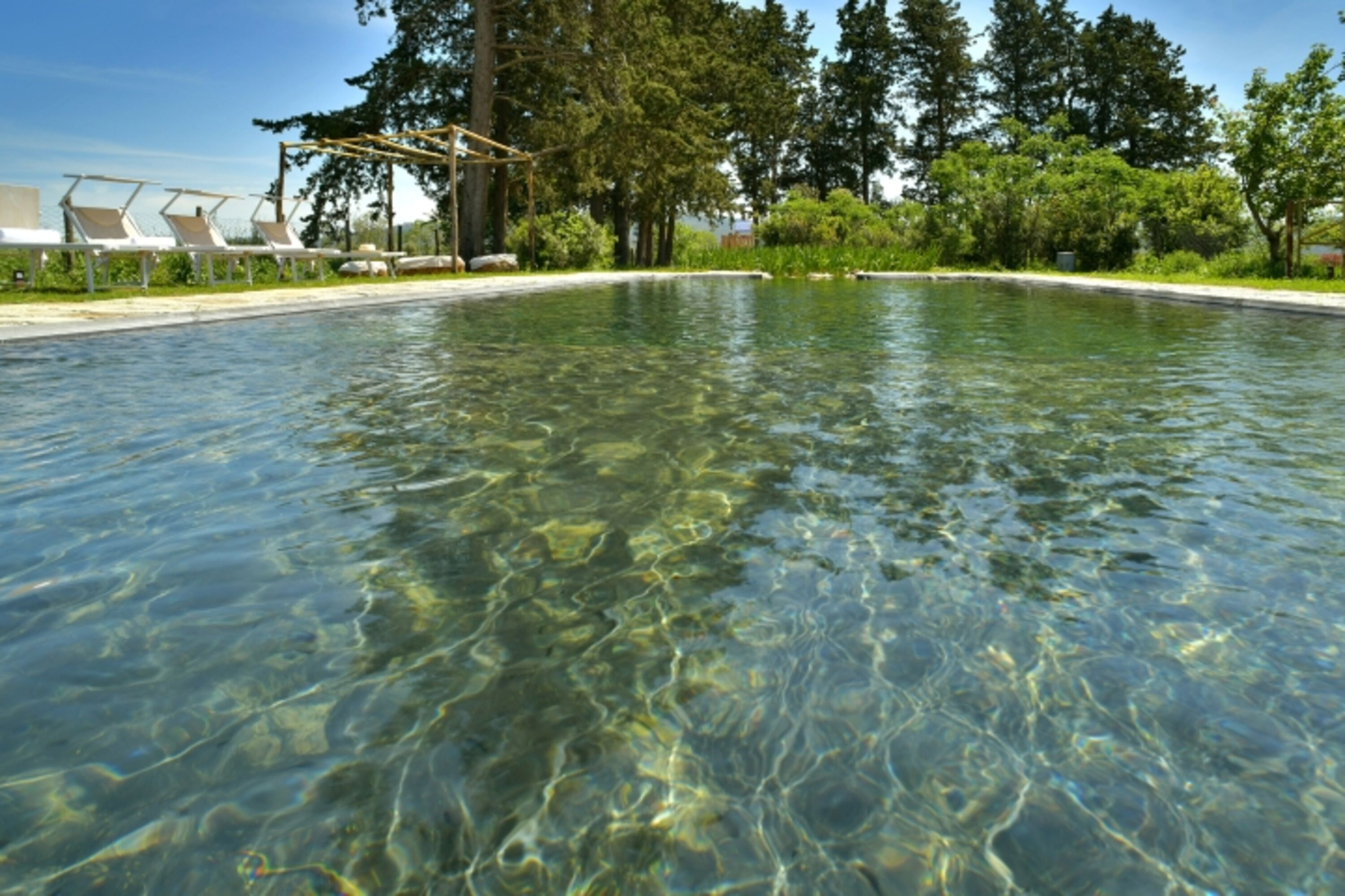 Bio-Teich