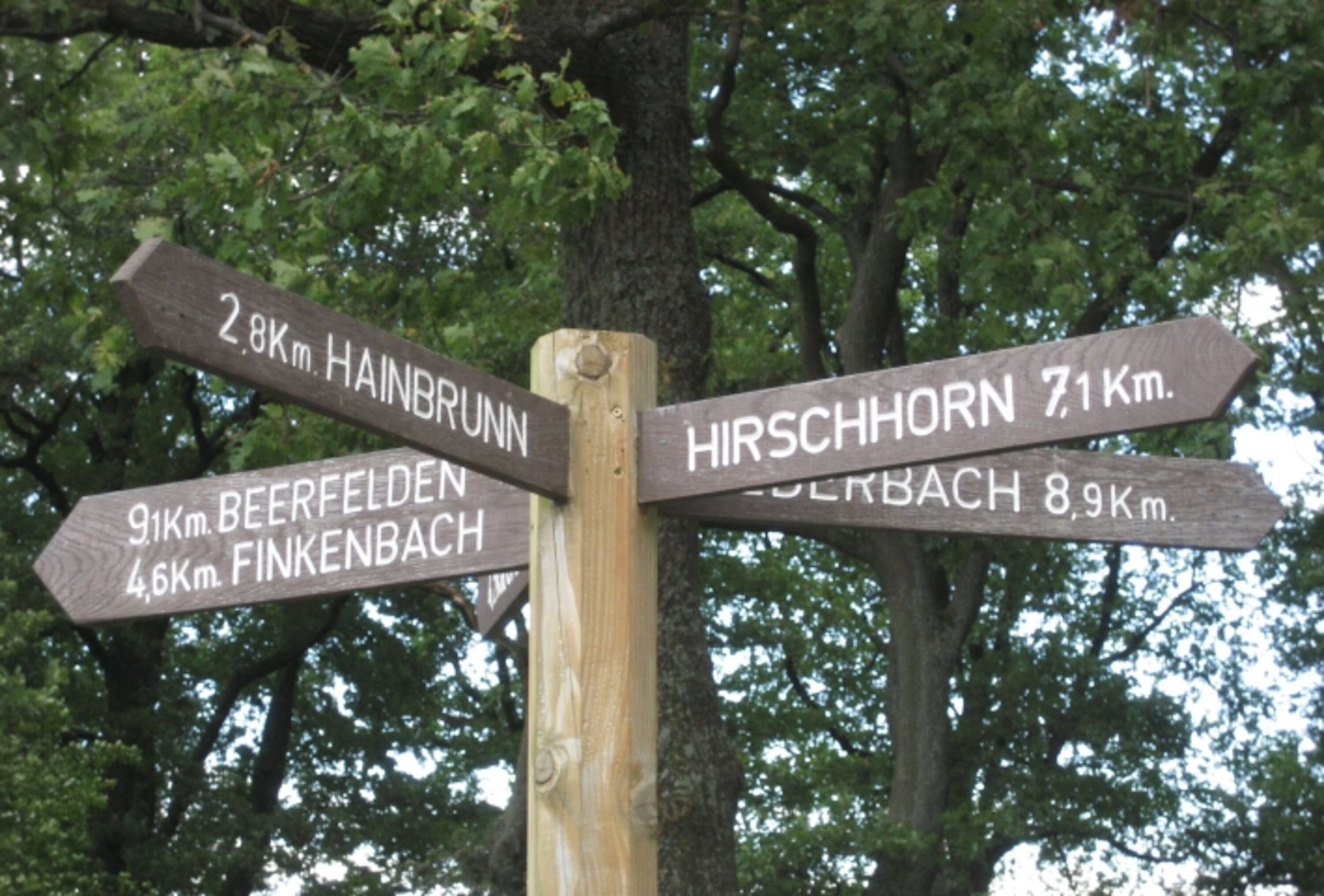 Bild 22