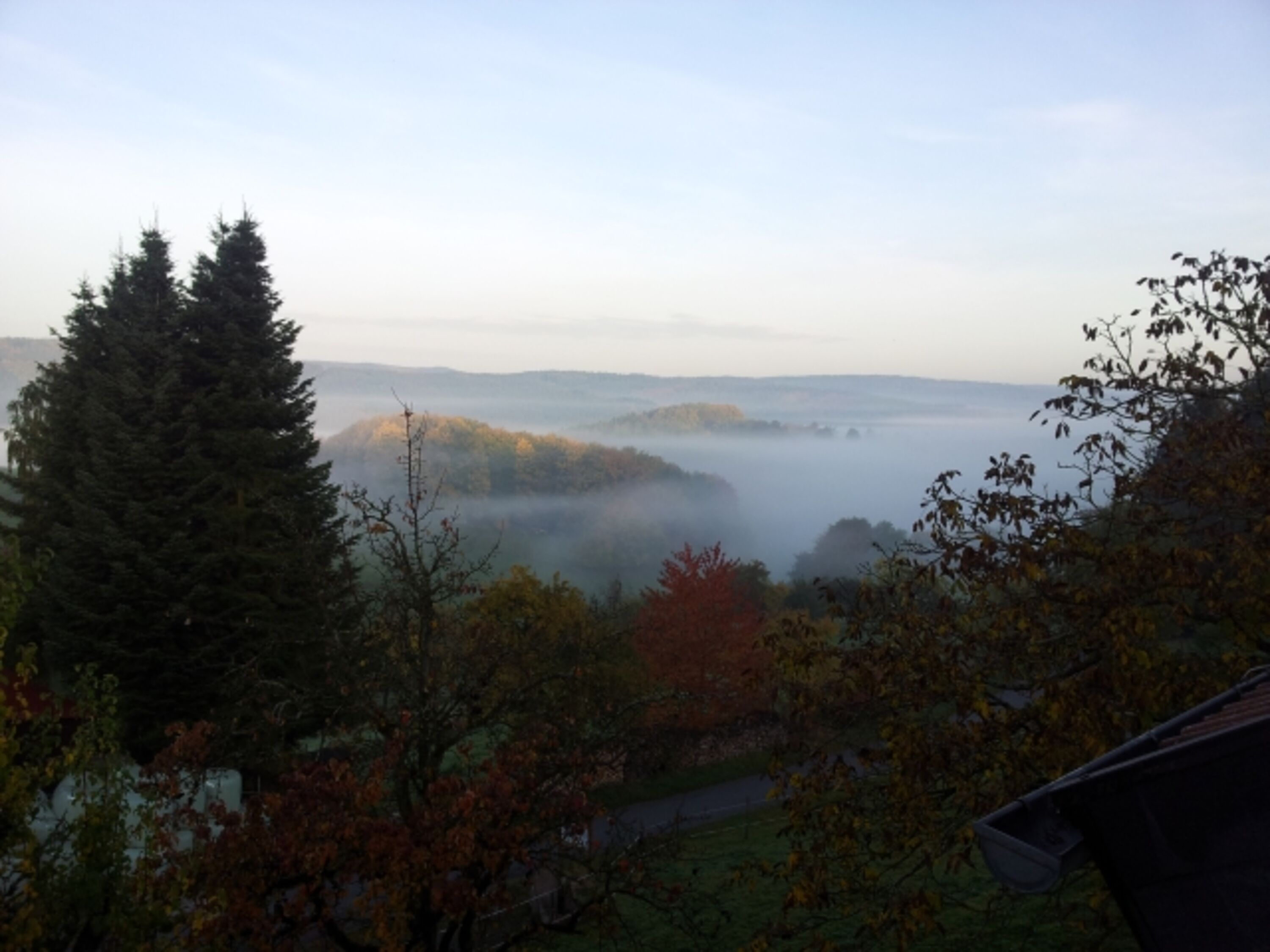 Bild 19