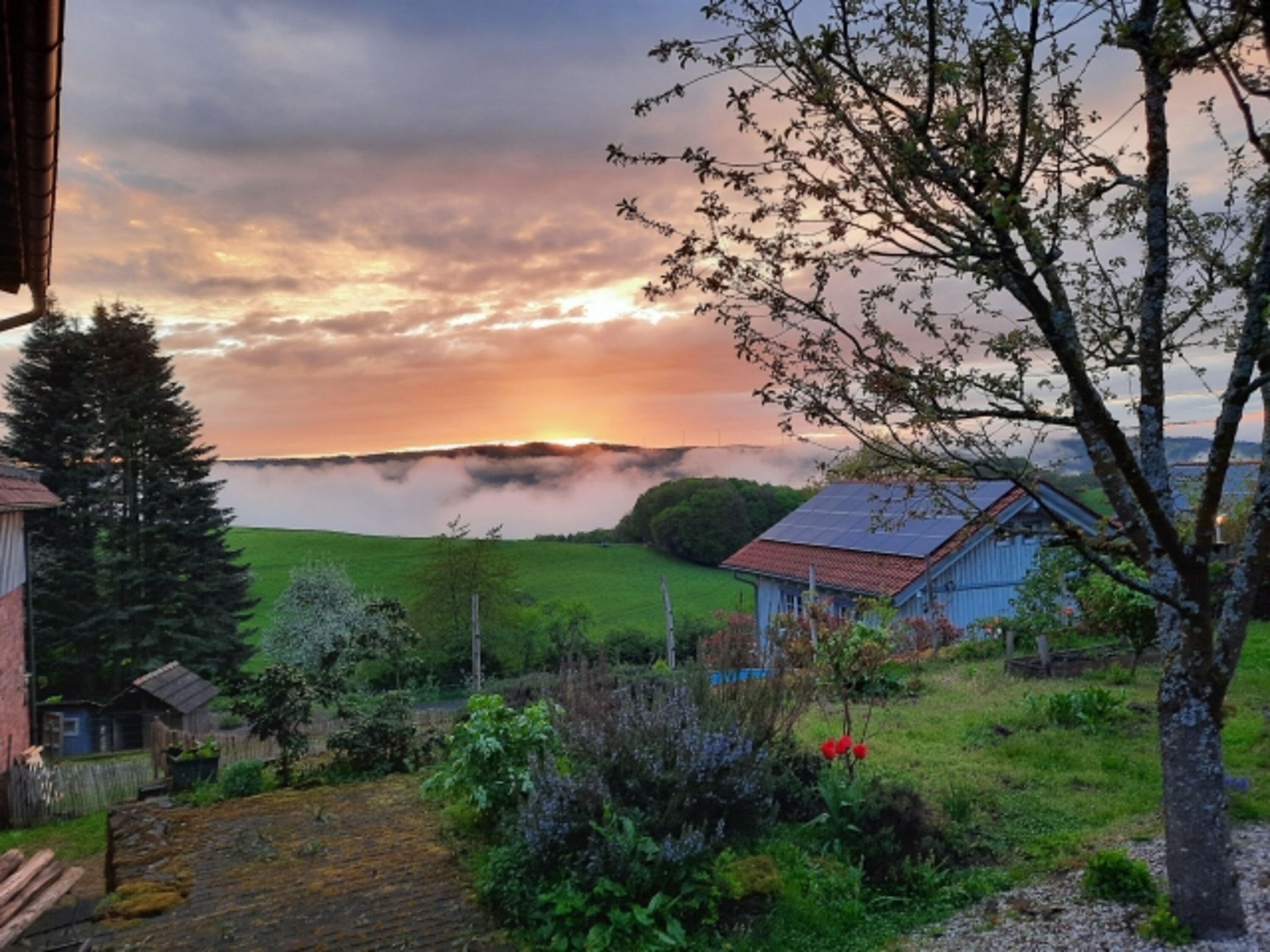 Ausblick