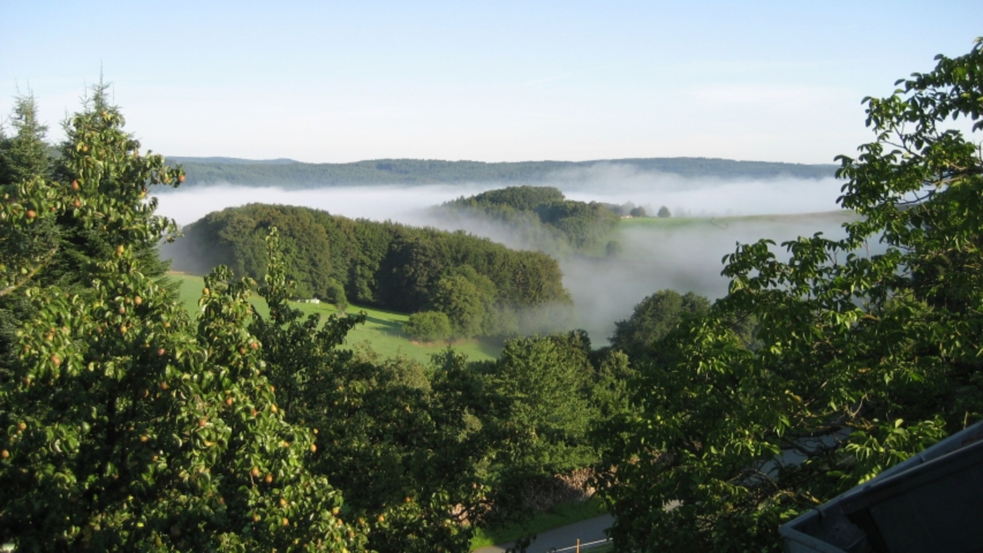 Ausblick