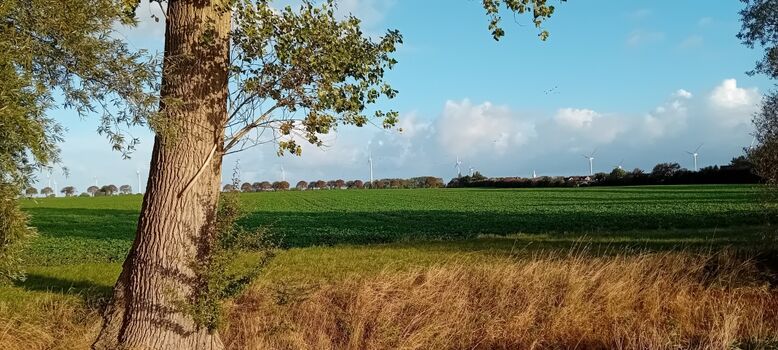 Ruhige ländliche Gegend 