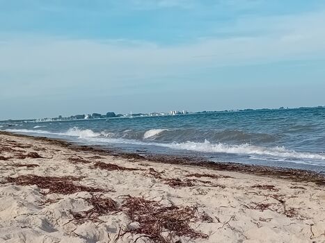 Strand 4 km von der Ferienwohnung entfernt 