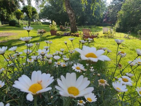 ein Paradies für Mensch und Hund