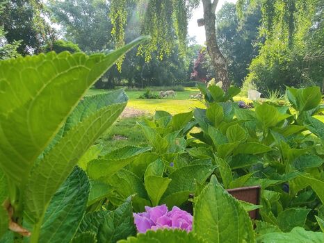 auf 12000 qm Grundstück