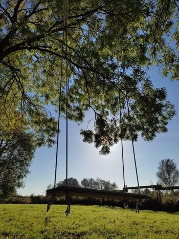 die Baumschaukel für Groß und Klein