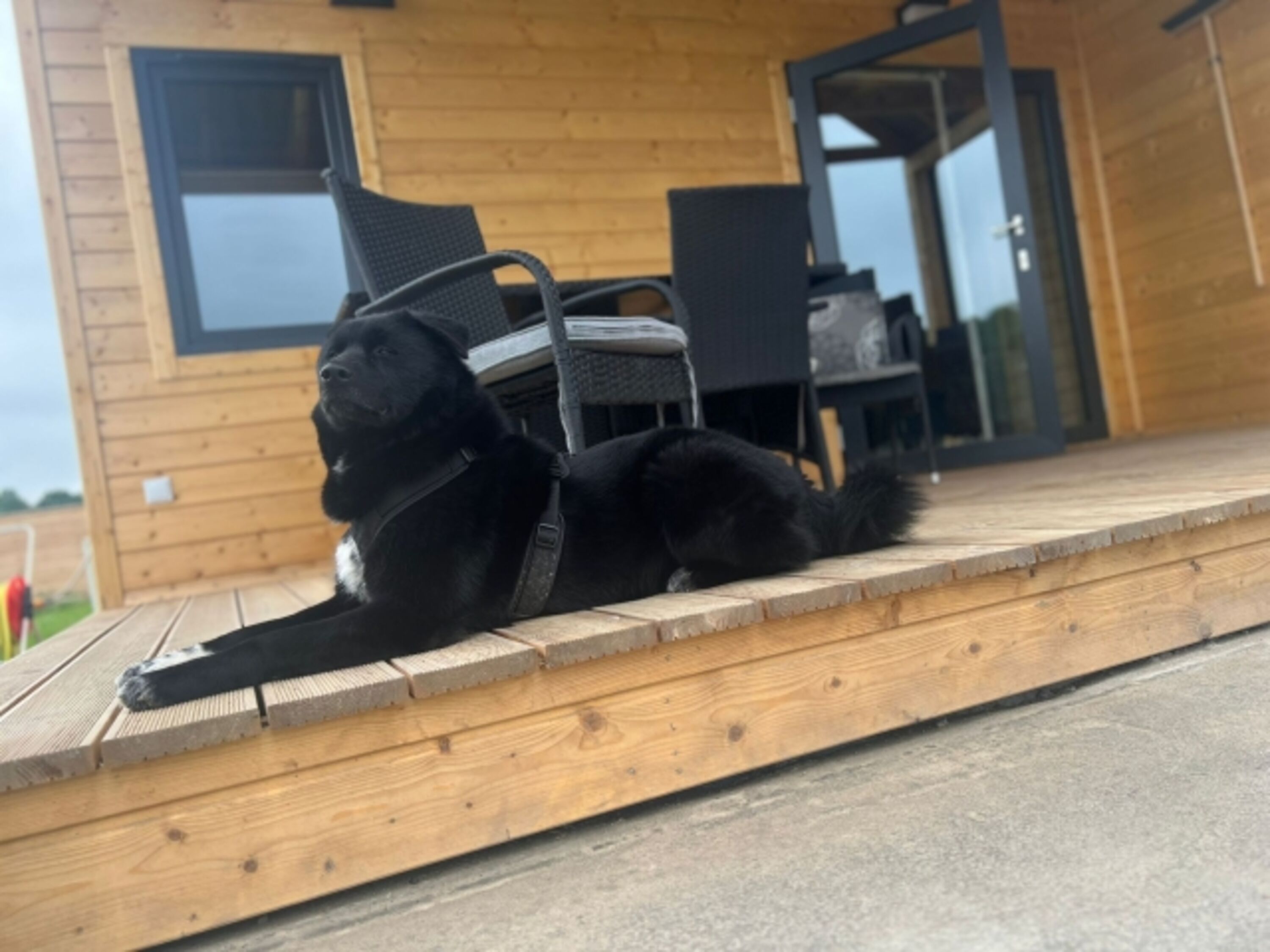 Bild 10