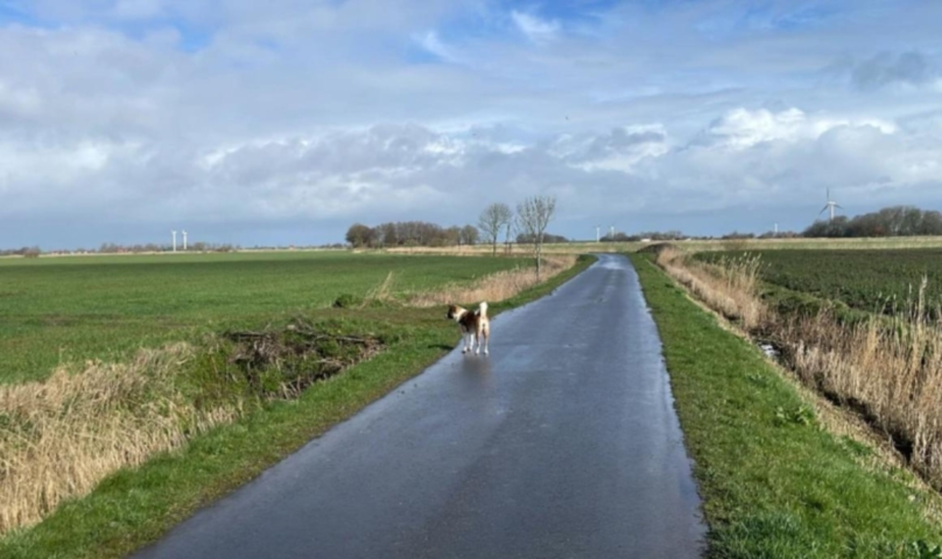 Spazierweg