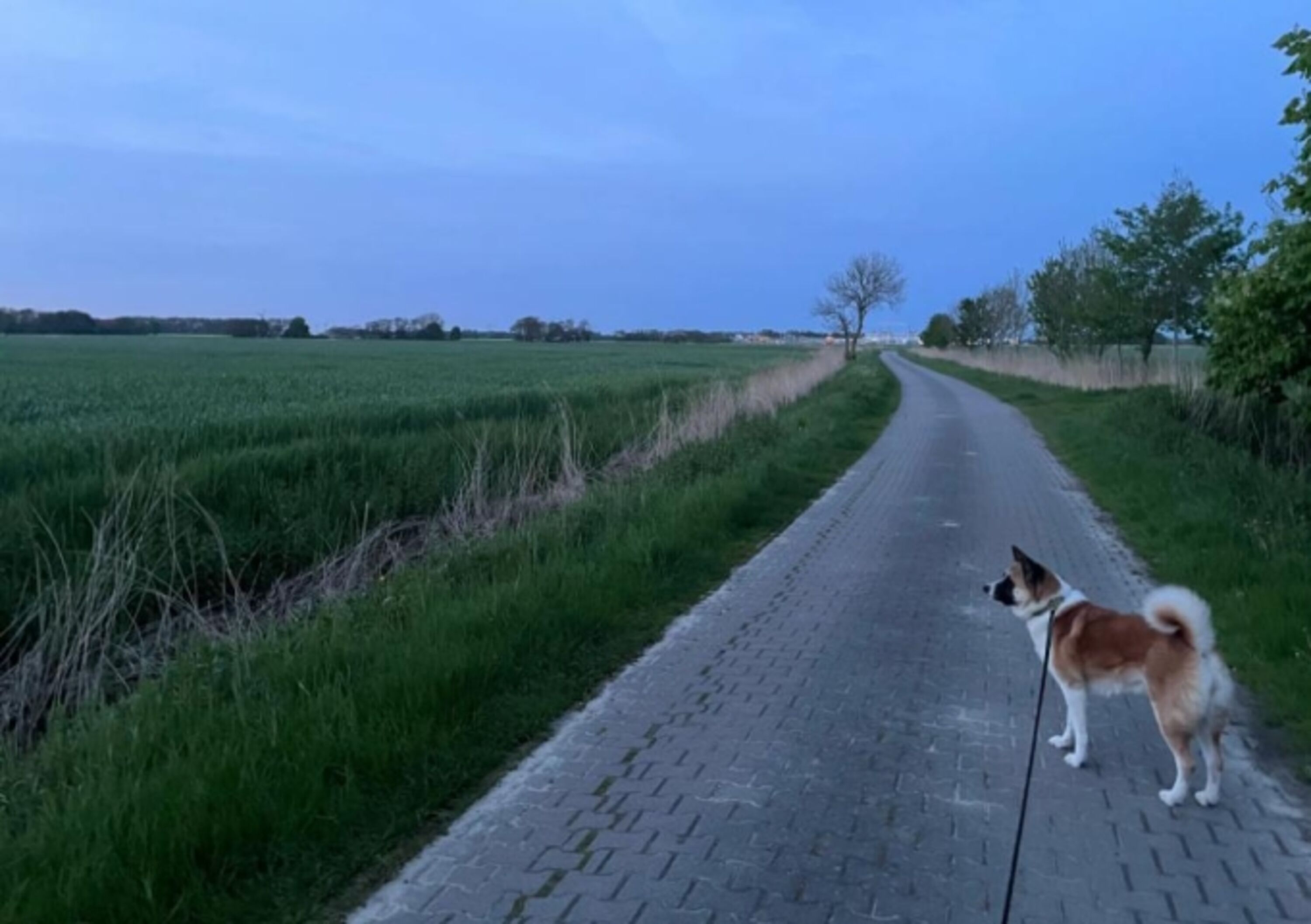 Spazierweg